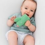 Lanco, gryzak Kaktus Zielony