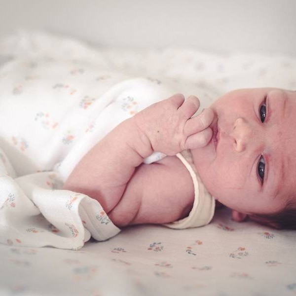 Snap the moment, Otulacz Muślinowy Blueberry/Blossom 2-pack