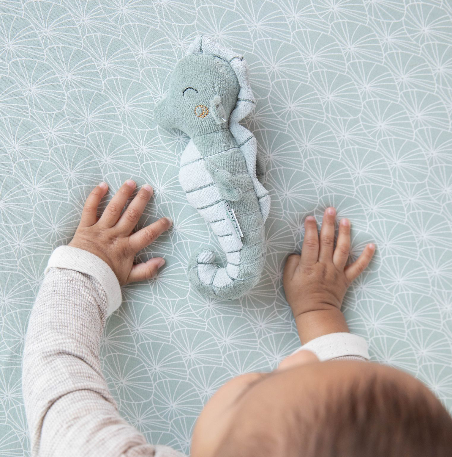 Little Dutch, Grzechotka Konik morski Ocean Mięta