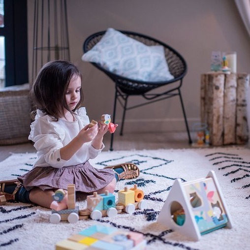 Janod, Pociąg z klockami do ciągnięcia Pure