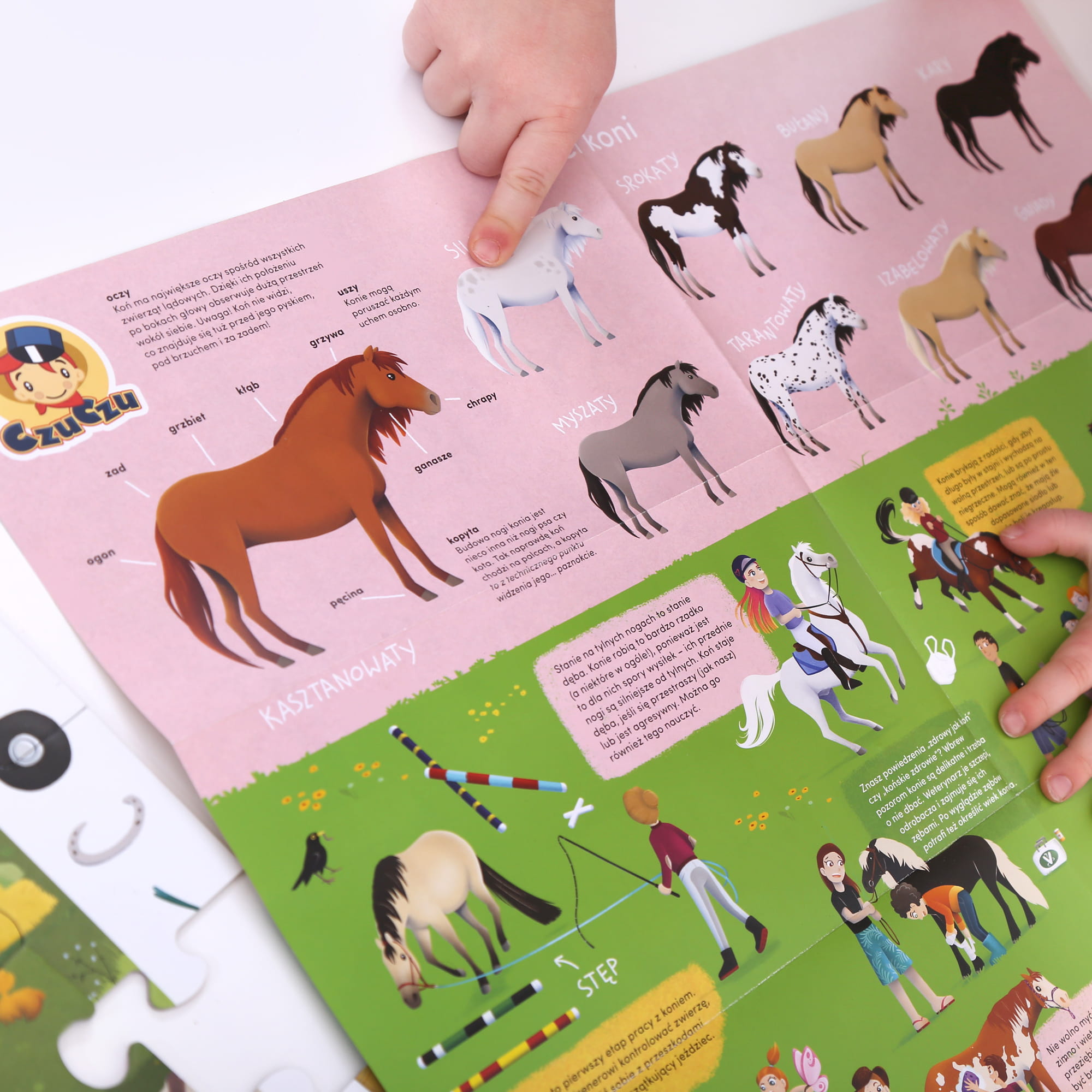 Czuczu, Puzzle 84el. obserwacyjne Stadnina koni