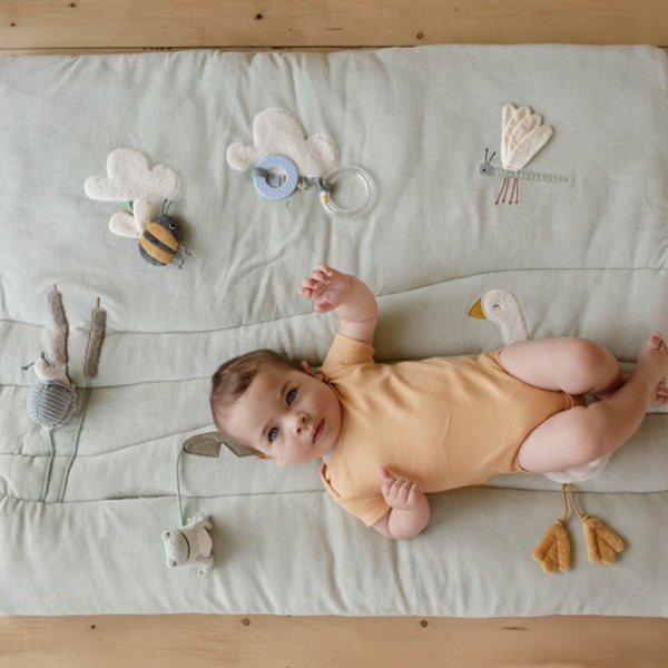 Little Dutch, Mata edukacyjna aktywizująca Little Goose