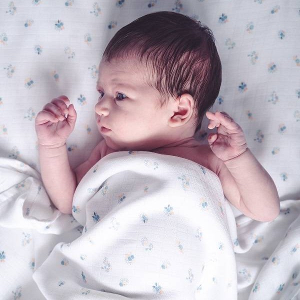 Snap the moment, Otulacz Muślinowy Blueberry/Blossom 2-pack