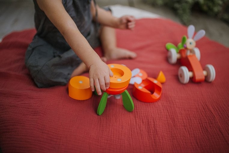 Janod, Rakieta drewniana magnetyczna marchewka z Królikiem