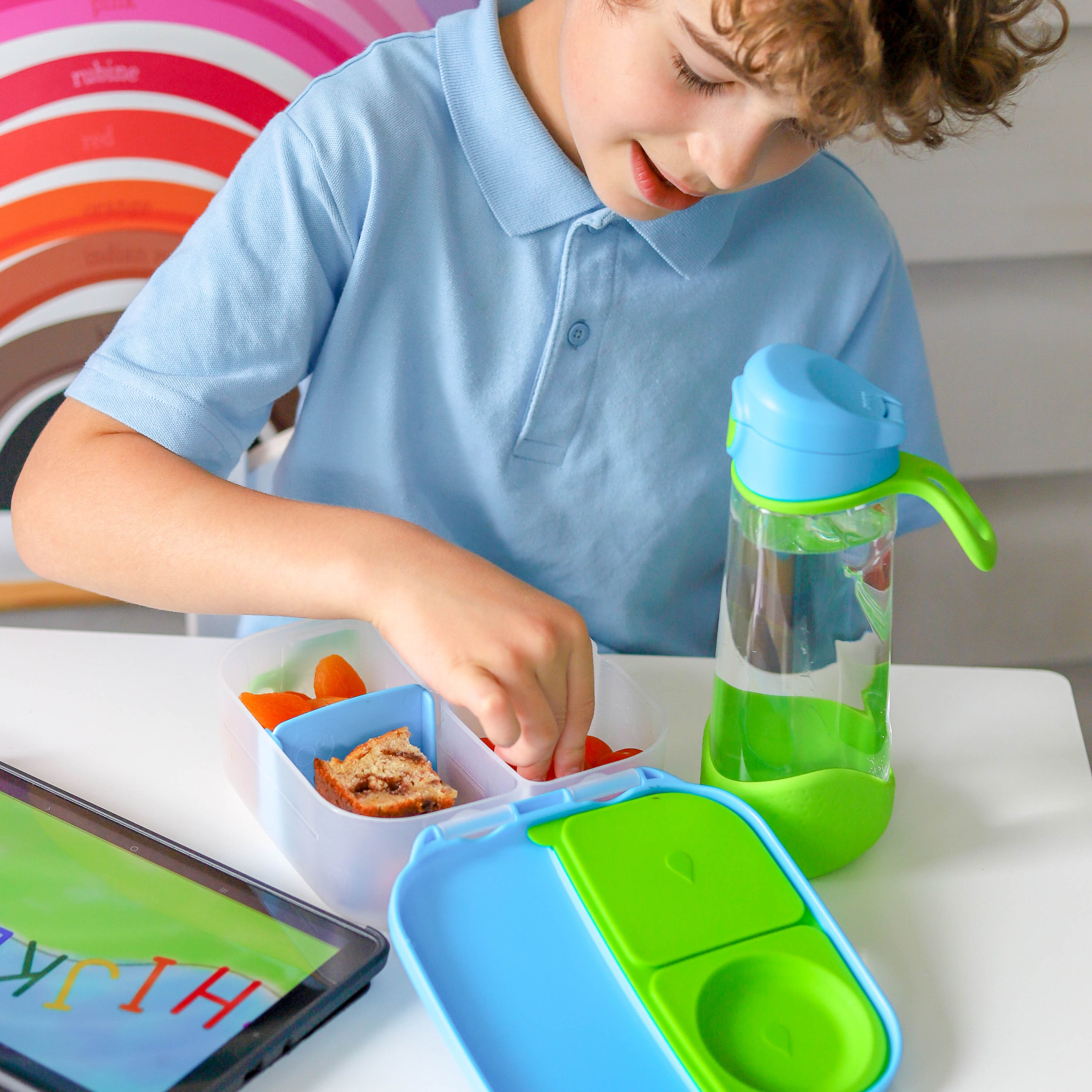 B.box, Mini lunchbox - Indigo Rose