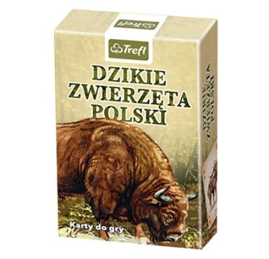 Karty do gry dzikie zwierzęta polski