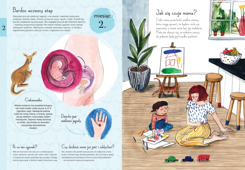 Babaryba, 9 miesięcy. Od zarodka do noworodka