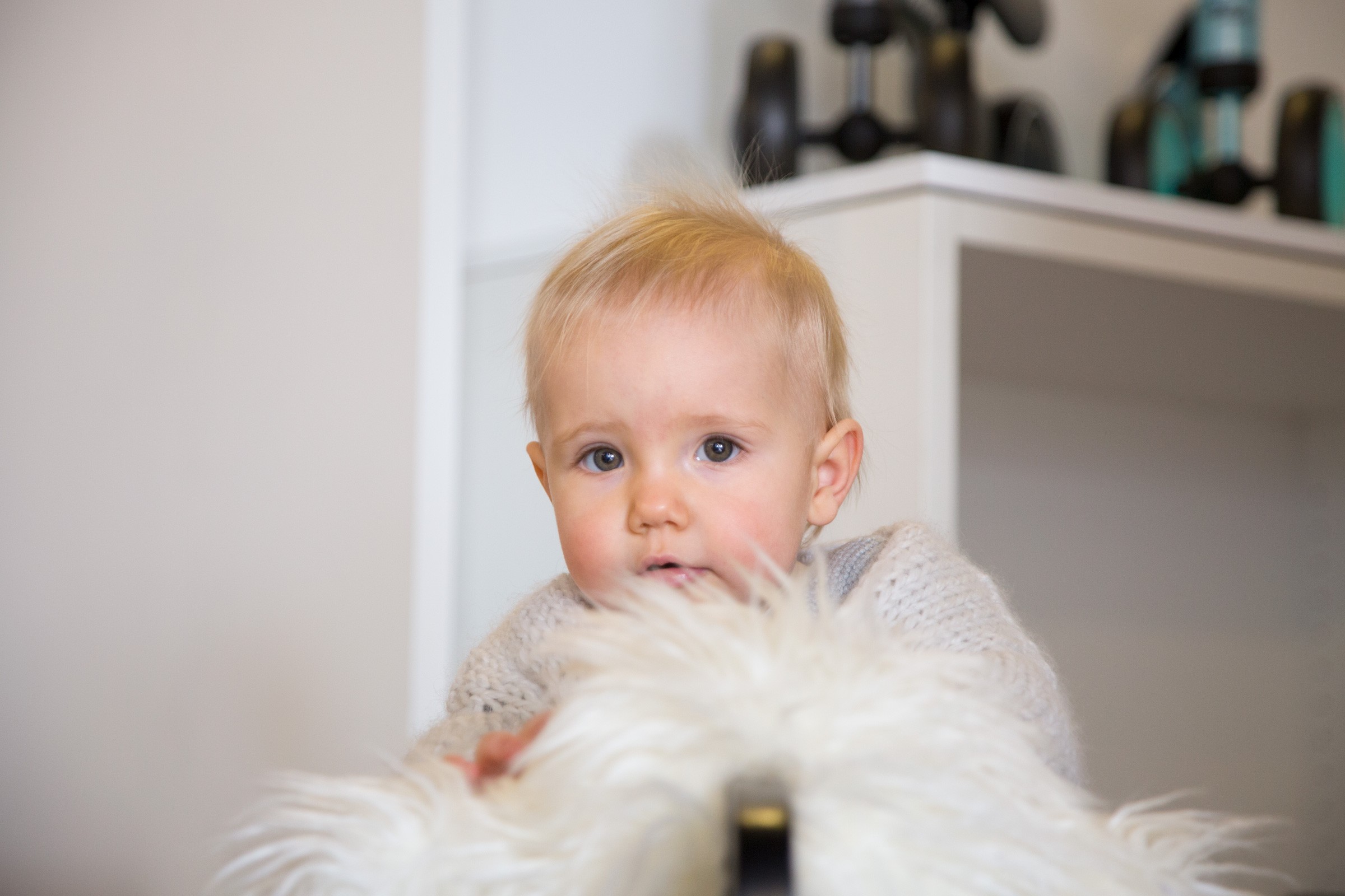 Childhome, Bujak owca biało-czarna Childhome, Bujak owca biało-czarna