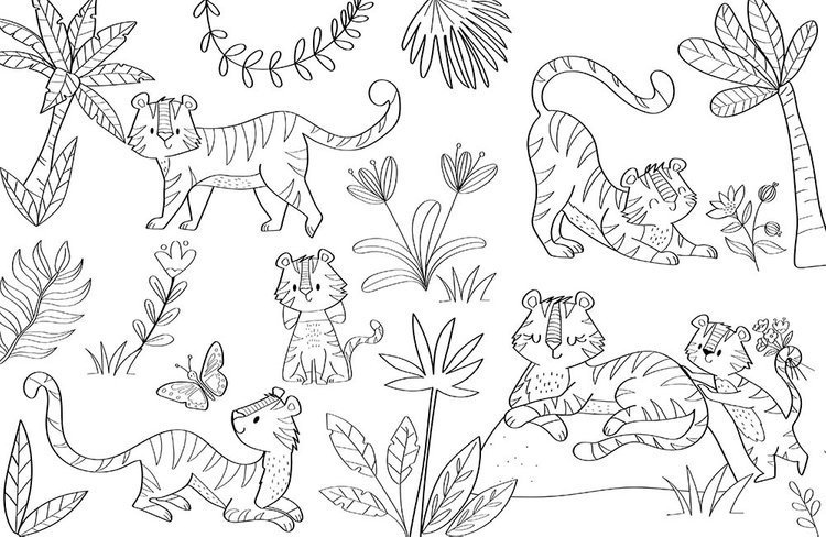 Auzou, Duża kolorowanka Zwierzęta świata