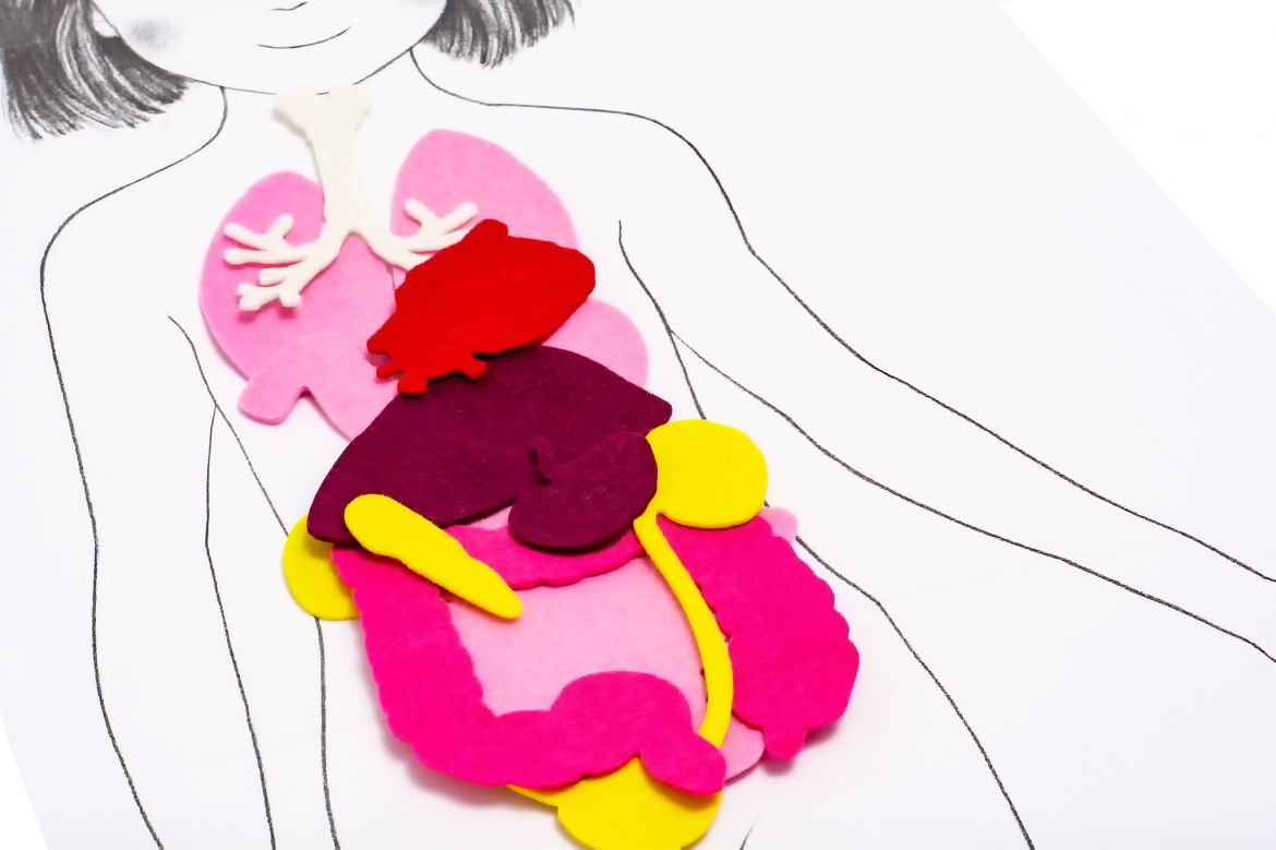 Ciało Człowieka Biblioteczka Montessori, Marie Eschenbrenner, Sabine Hofmann