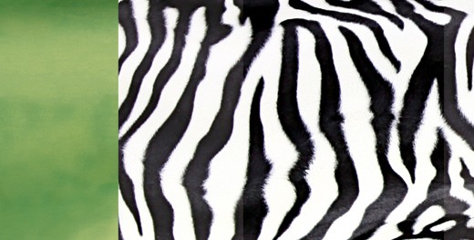 Amazonas, Huśtawka dziecięca Hang Mini Zebra Amazonas, Huśtawka dziecięca Hang Mini Zebra