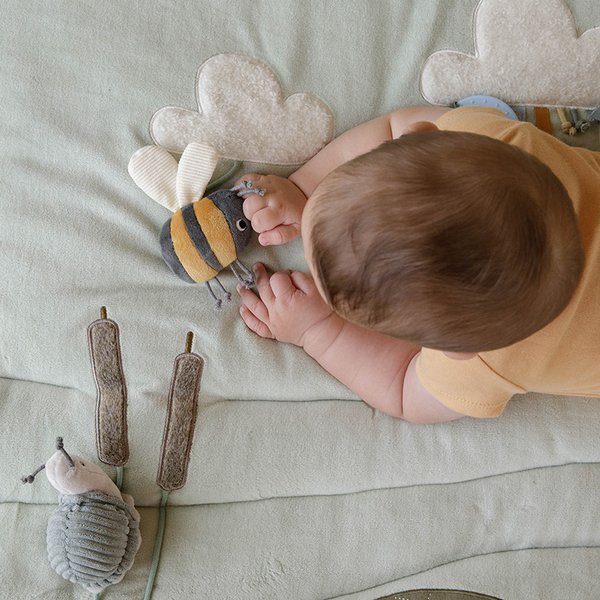 Little Dutch, Mata edukacyjna aktywizująca Little Goose