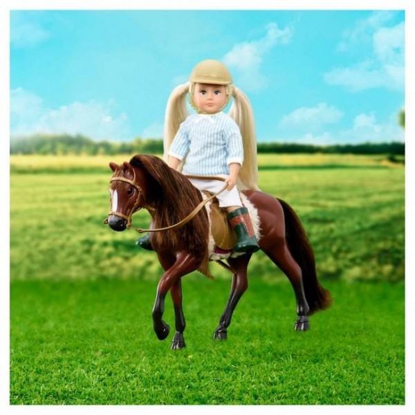 Lori, Ciemnobrązowy koń rasy American Quarter Horse  z akcesoriami do pielęgnacji