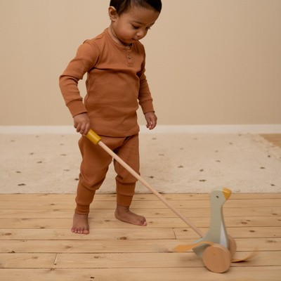 Little Dutch, Pchacz gąska Little Dutch, Pchacz gąska