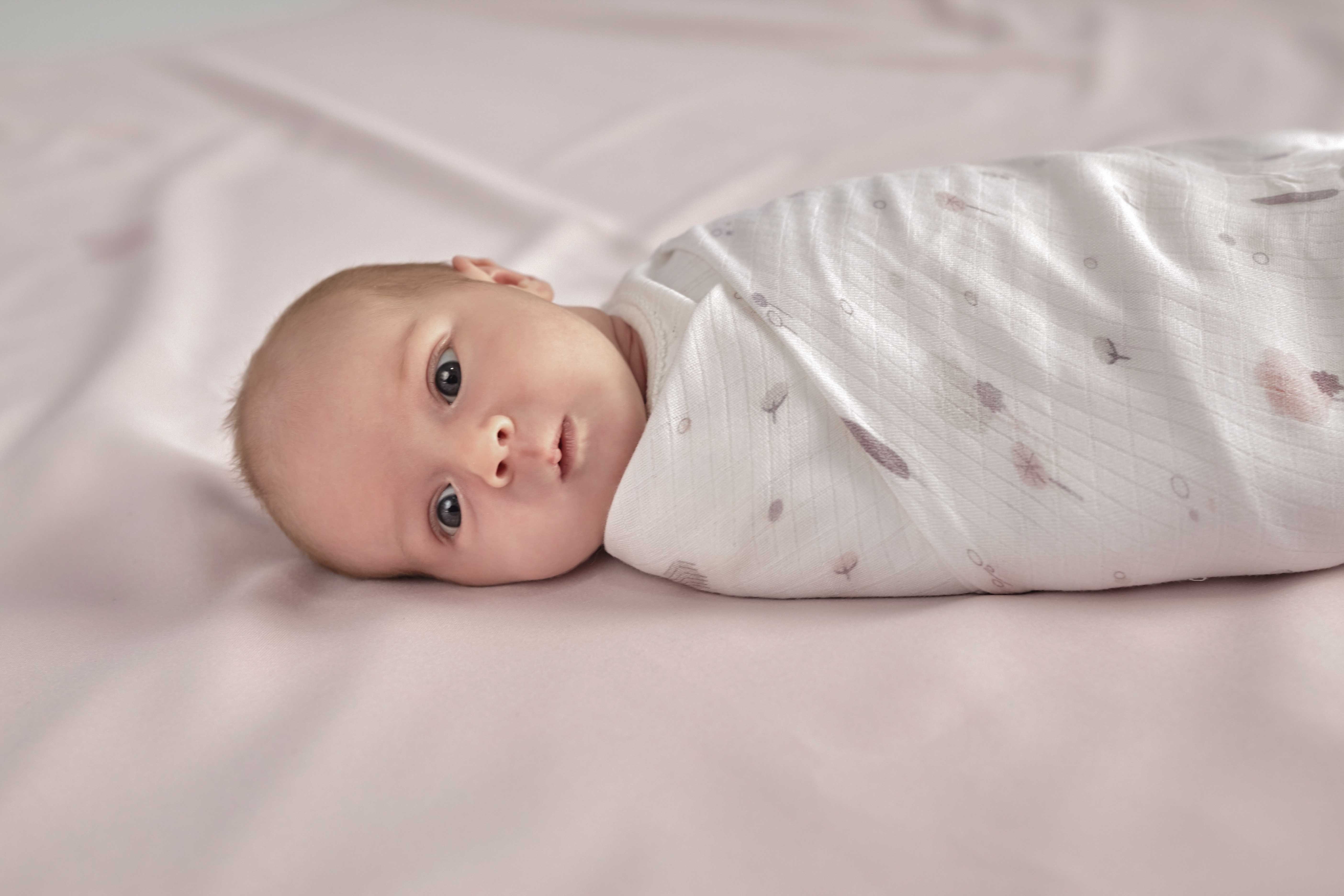 Snap the moment, otulacz muślinowy PLUM FOREST Snap the moment, otulacz muślinowy PLUM FOREST