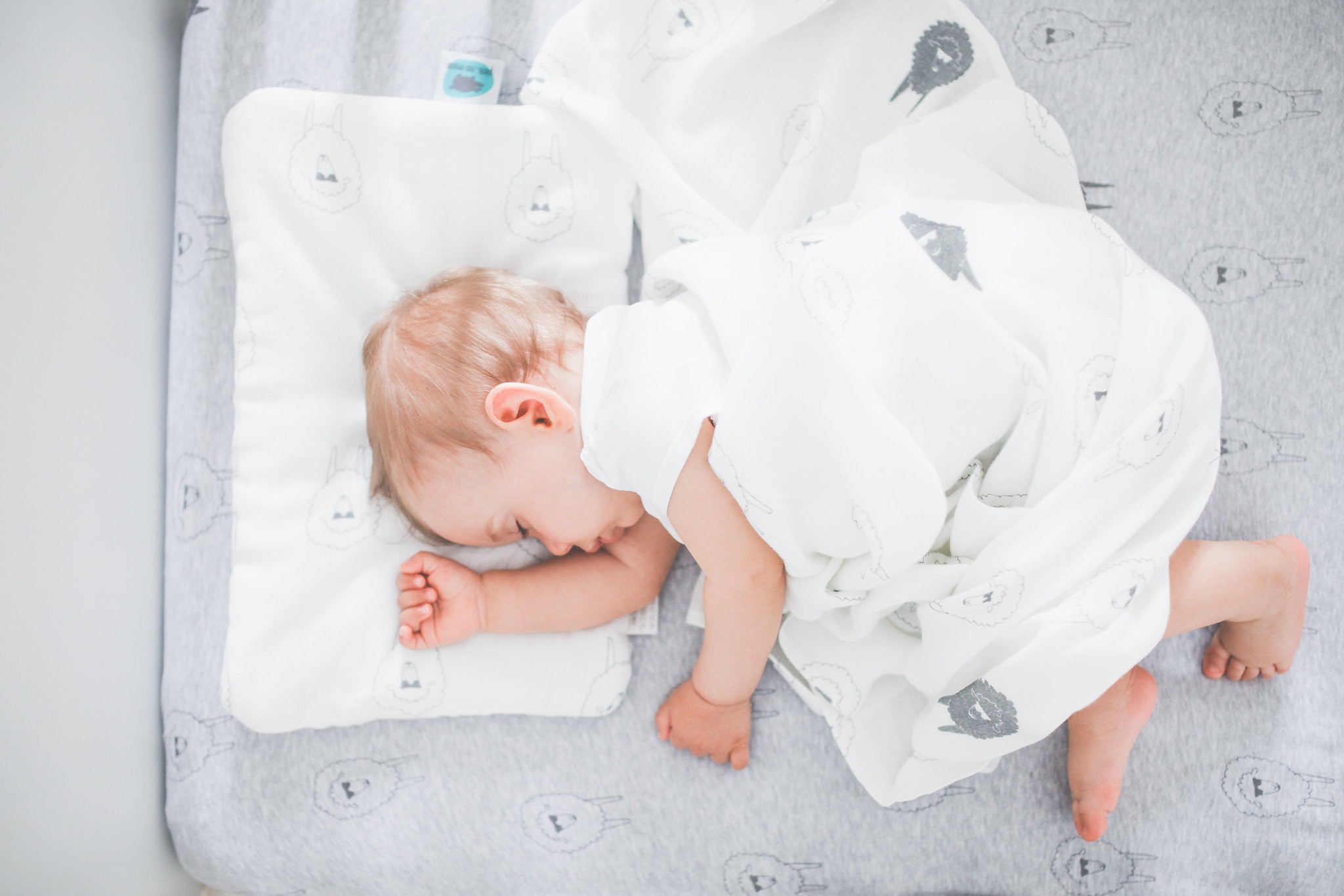 Muślinowa chusta - gangsta owce 120x120cm