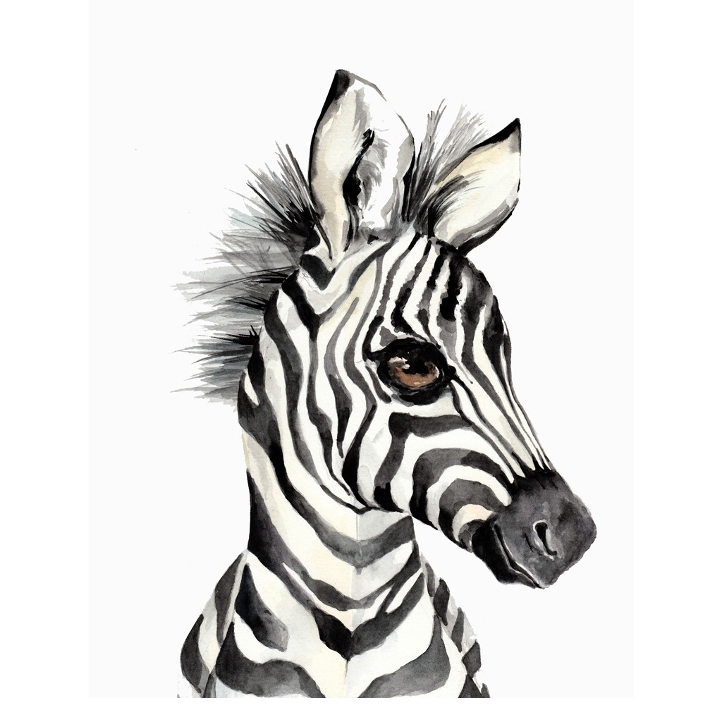 Bimbla, Obrazek Zebra 21 x 30 cm (A4) Bimbla, Obrazek Zebra 21 x 30 cm (A4)