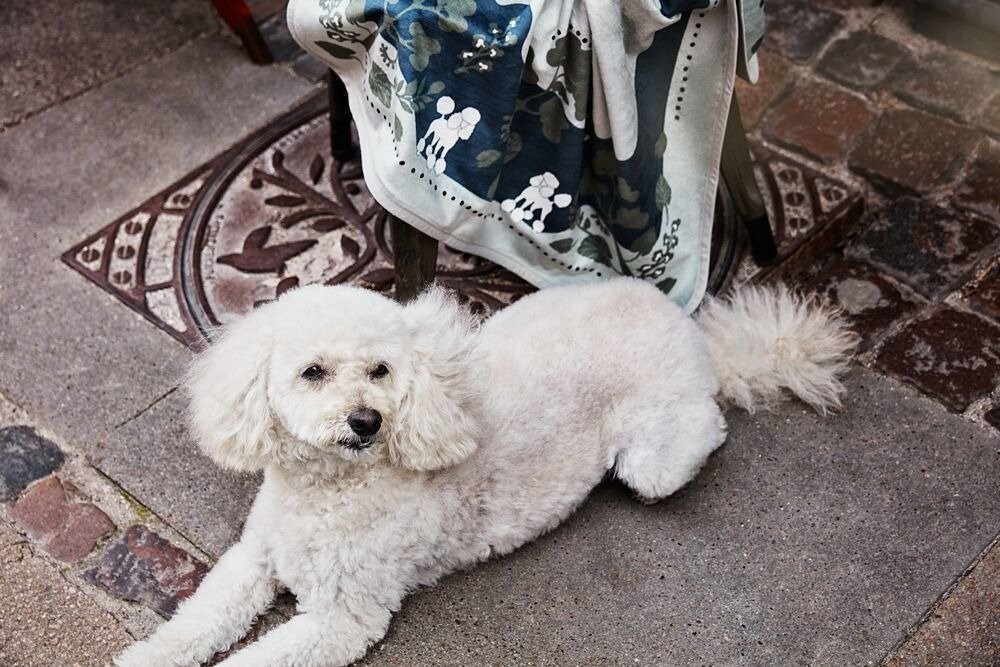 Elodie Details, Kocyk Pearl Velvet - Rebel Poodle Mineral Green