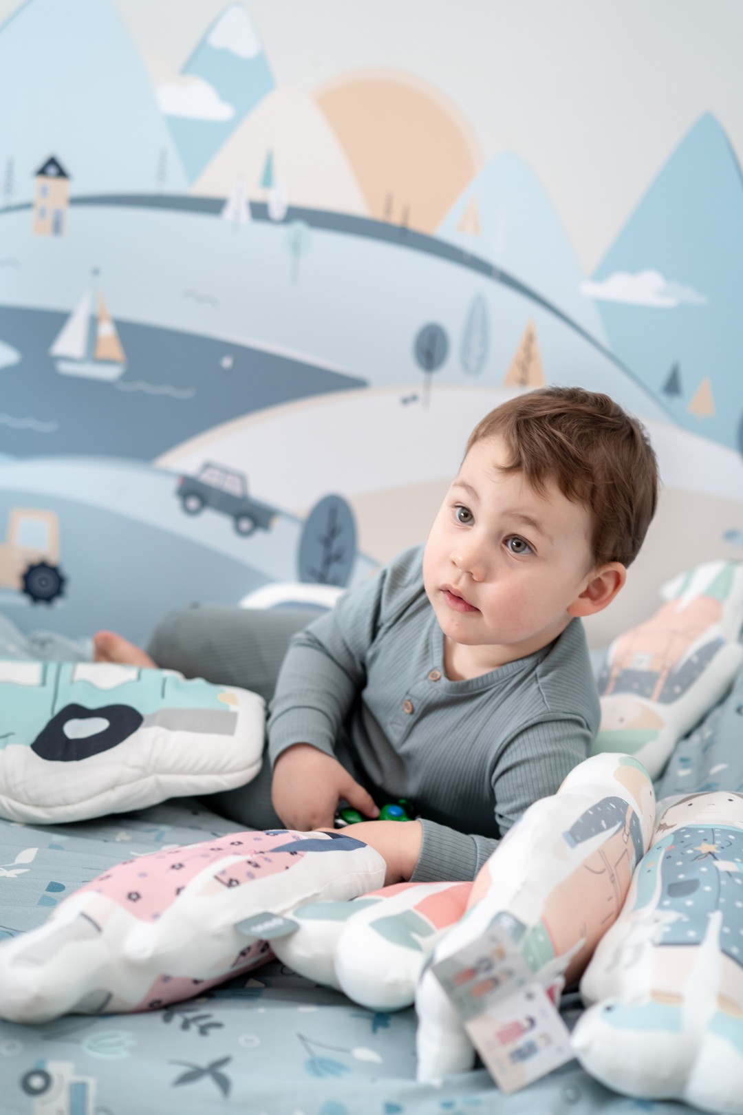 Snap the moment, Poduszka diplodok