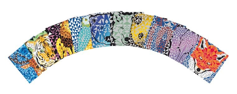 Janod, Zestaw kreatywny Do zdrapywania Animetrics