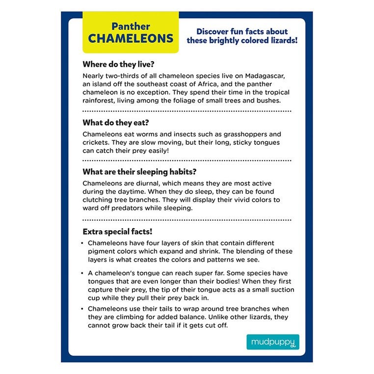 Mudpuppy, Puzzle mini Kameleon lamparci 48 elementów 4+