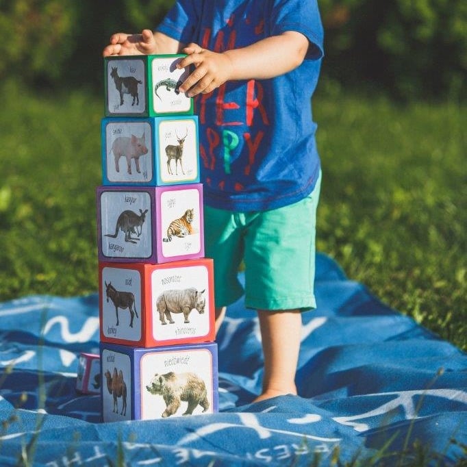 Piramida Zabaw, Kartonowe klocki dla dzieci Zwierzęta