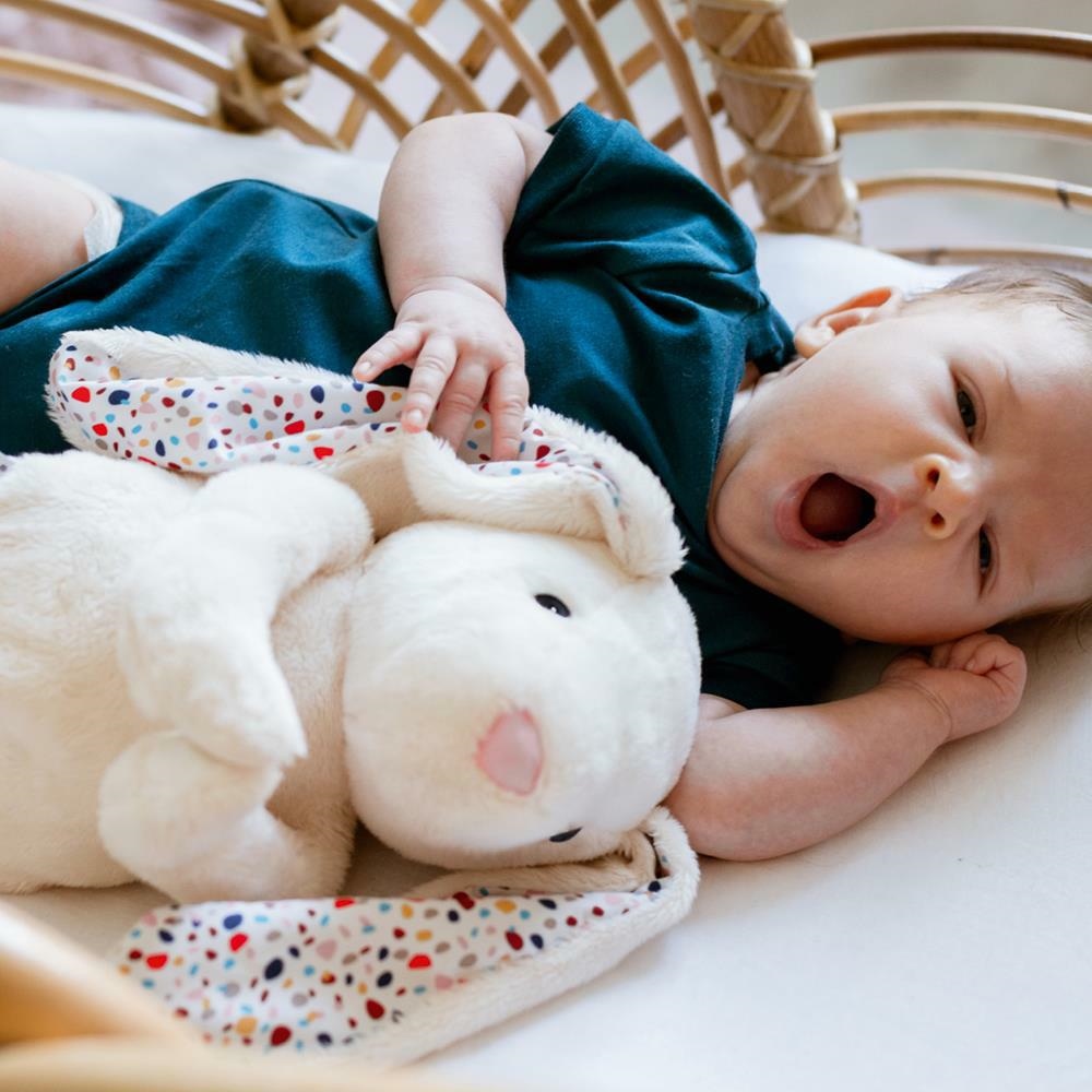 Whisbear, Szumiący Królik Felcia EZZY