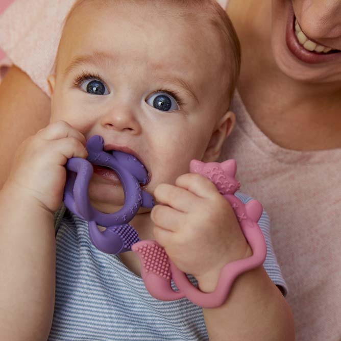 B.Box, Gryzak lisek, piwonia