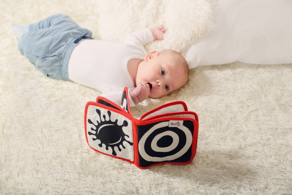 Baby Senses, Książeczka - kształty