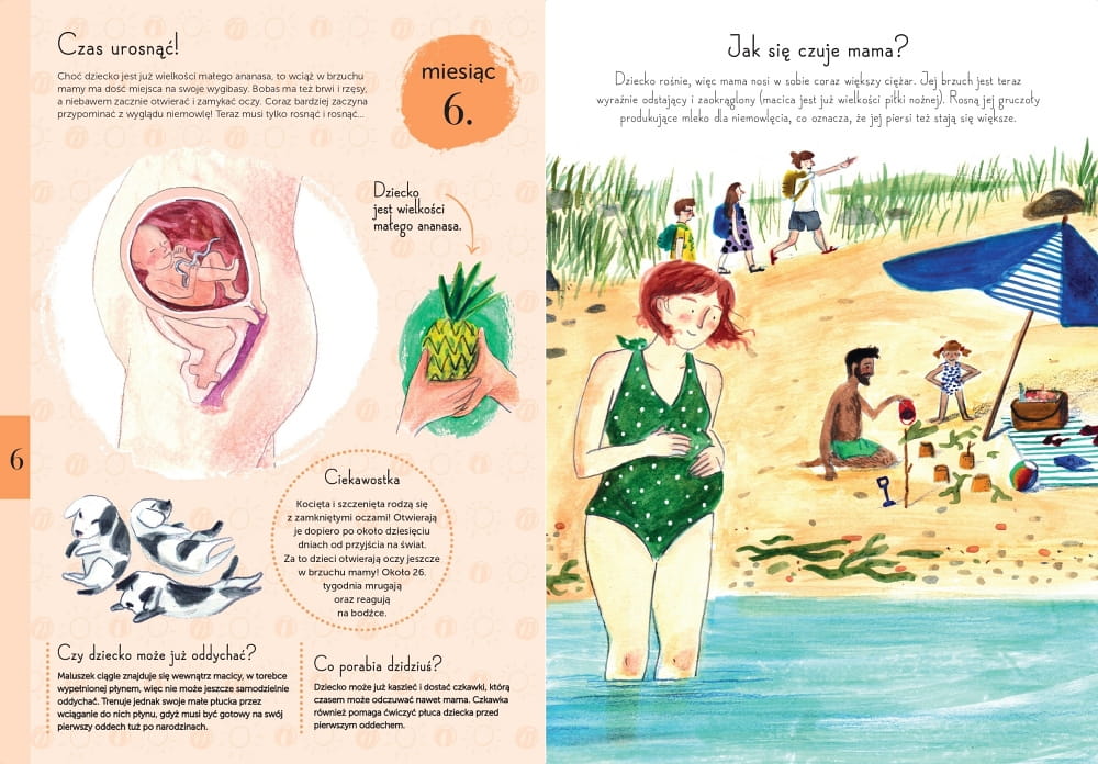 Babaryba, 9 miesięcy. Od zarodka do noworodka