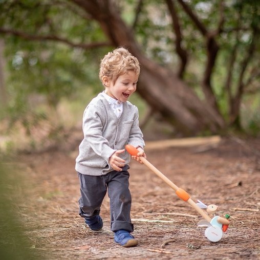 Janod, Pchacz drewniany walec Pure