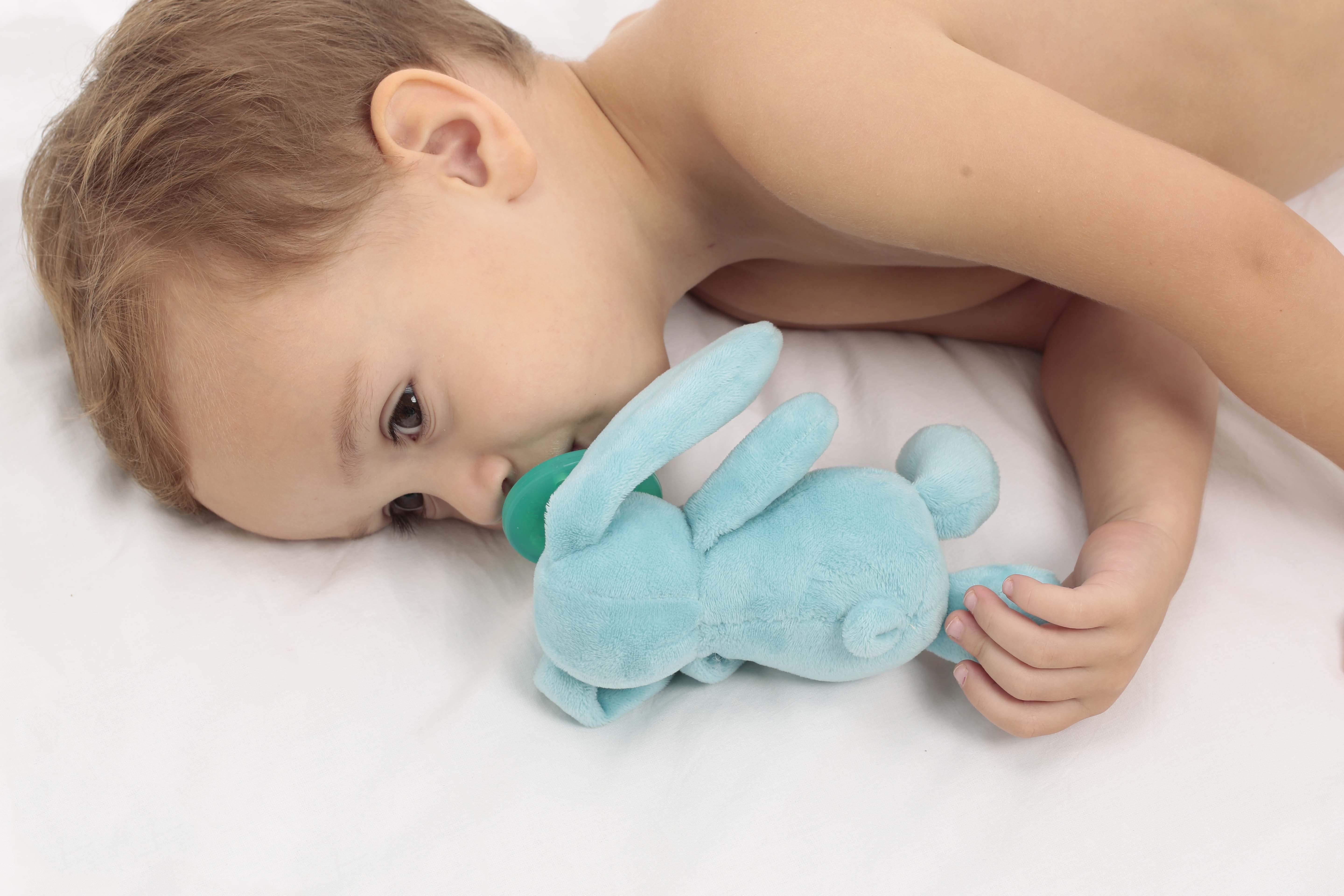 Minikoioi, Smoczek uspokajający z przytulanką Blue Bunny Minikoioi, Smoczek uspokajający z przytulanką Blue Bunny