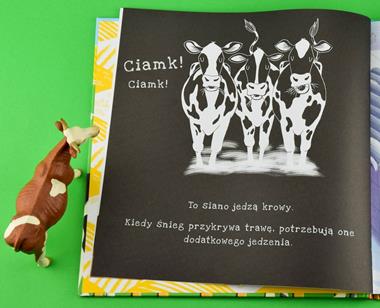 Na farmie. Podświetl i Odkryj, Susie Behar,Essi Kimpimäk