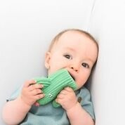 Lanco, gryzak Kaktus Zielony