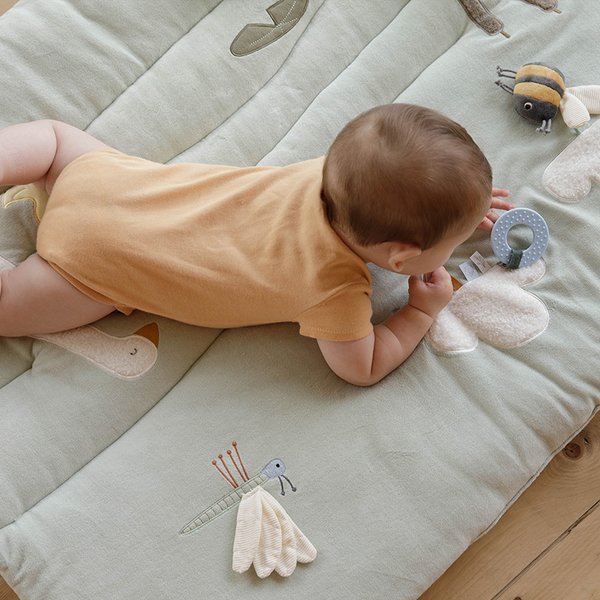 Little Dutch, Mata edukacyjna aktywizująca Little Goose