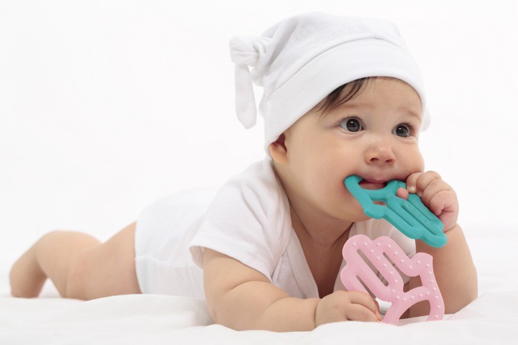 Minikoioi, Gryzak silikonowy różany