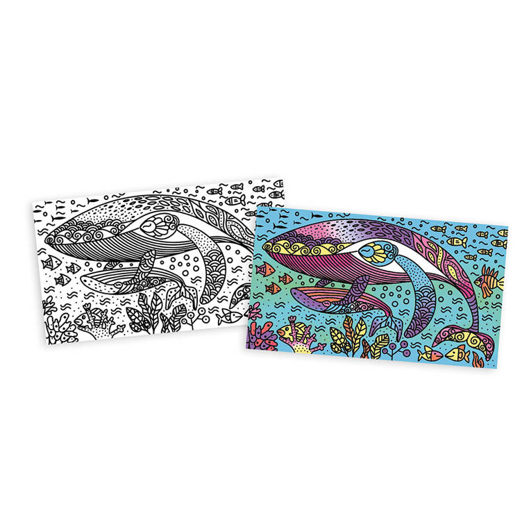 Janod, Zestaw kreatywny Magiczne kolorowanki wodne Ocean 7+ Janod, Zestaw kreatywny Magiczne kolorowanki wodne Ocean 7+