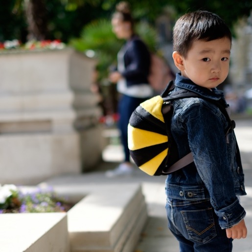 Plecaczek ze smyczą    Pszczoła Plecaczek ze smyczą    Pszczoła