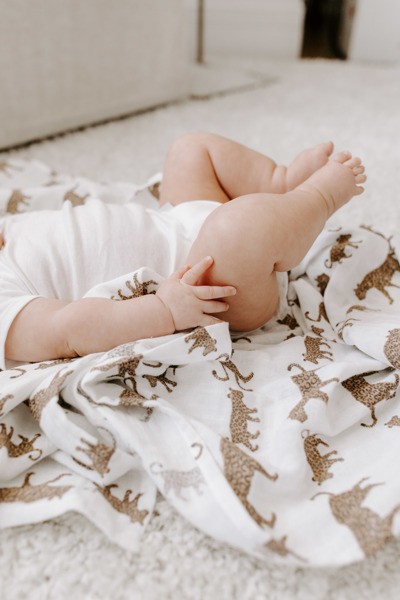 Aden & Anais, Otulacz muślinowy hear me roar - lead the way