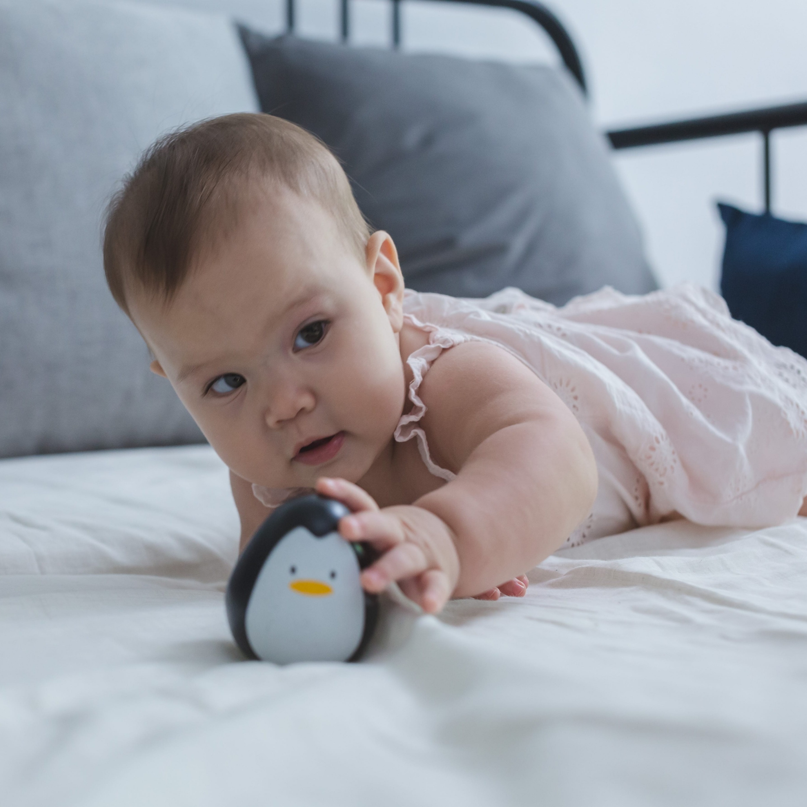 Plan Toys, Pingwin wańka wstańka