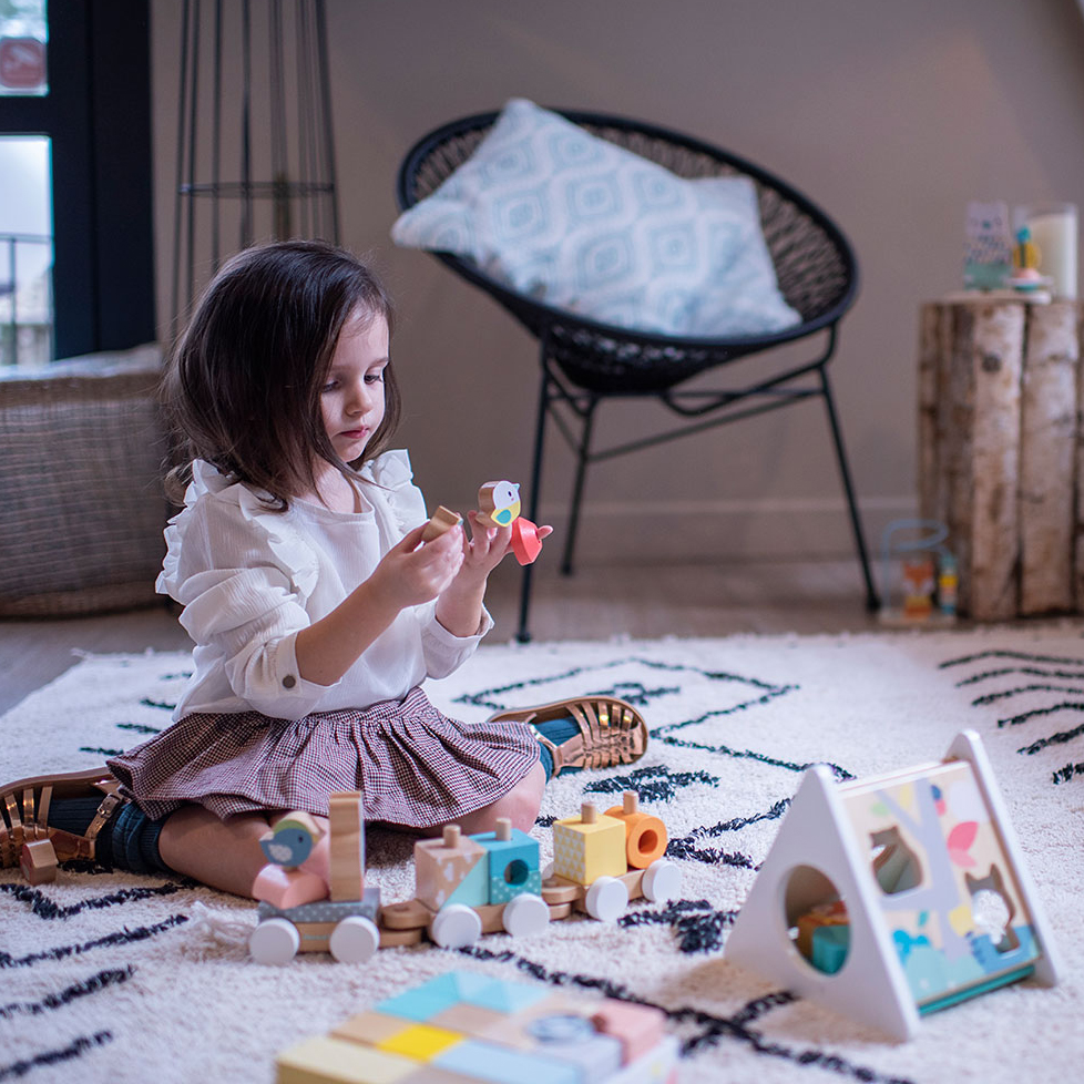 Janod, Trójkątny sorter kształtów Pure