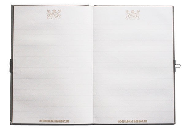 Tiger Tribe, Pamiętnik, motyw Top secret