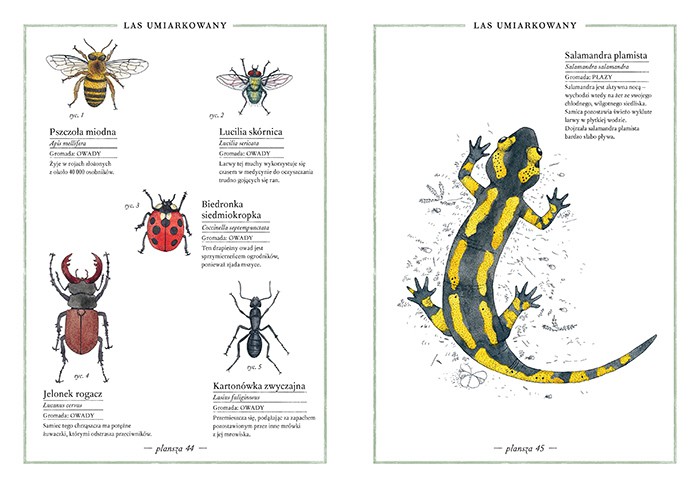 ILUSTROWANY INWENTARZ ZWIERZĄT