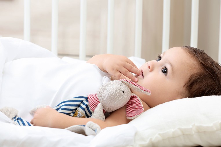 SIGIKID, Przytulaczek komforter Piesek w niebieskie paski