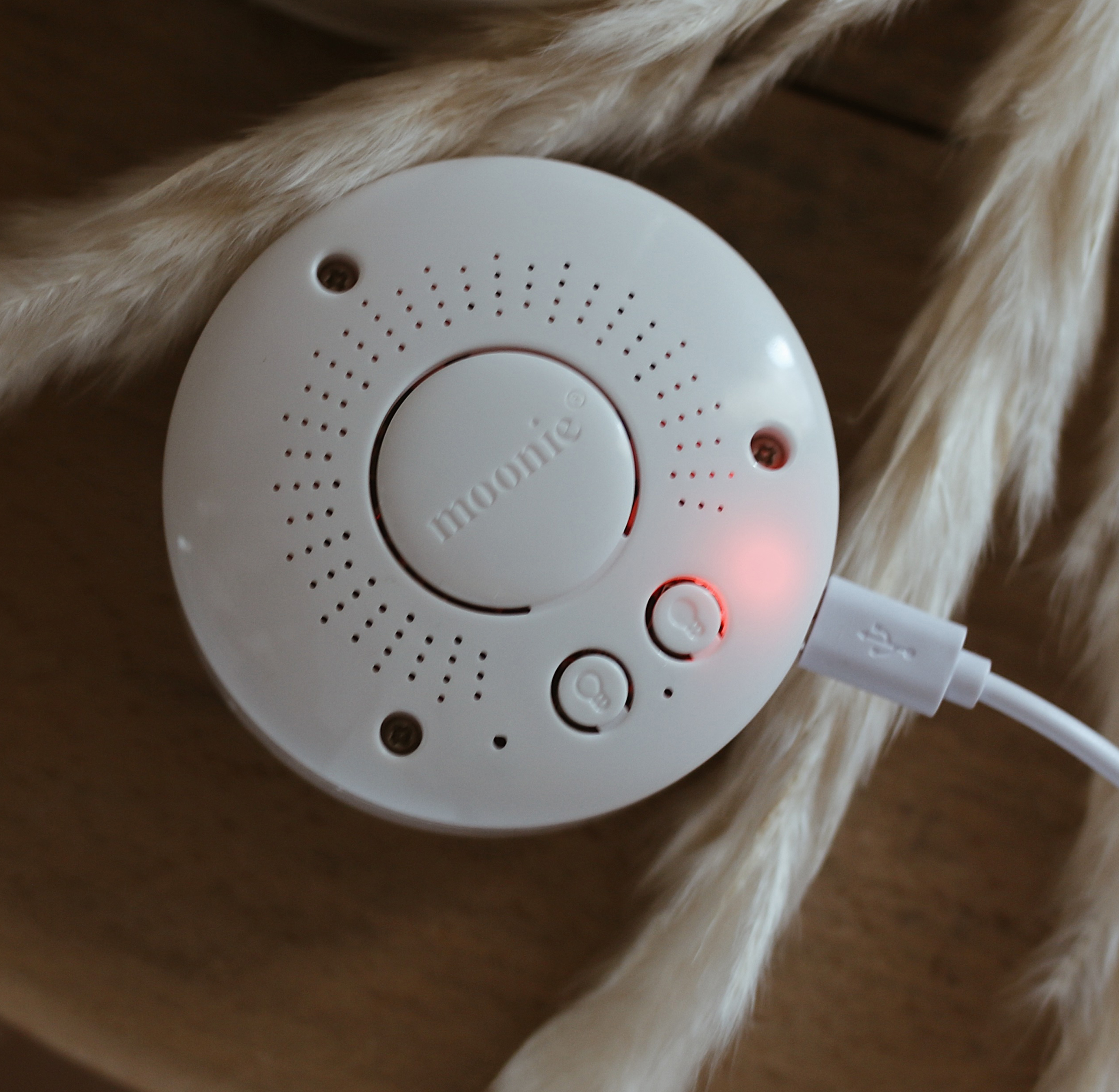 Moonie, Szumiący miś z lampką Cream