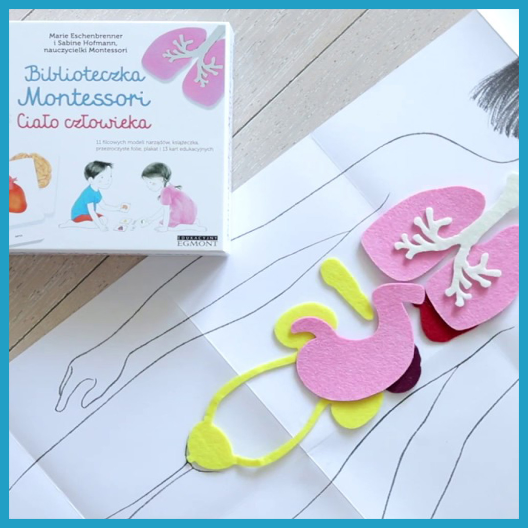 Ciało Człowieka Biblioteczka Montessori, Marie Eschenbrenner, Sabine Hofmann