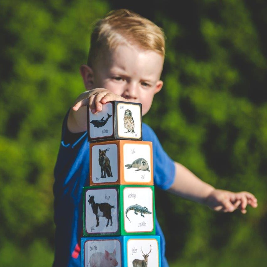 Piramida Zabaw, Kartonowe klocki dla dzieci Zwierzęta Piramida Zabaw, Kartonowe klocki dla dzieci Zwierzęta