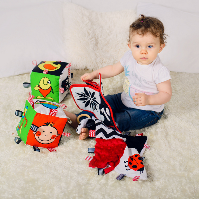 Baby Senses, Kostka sensoryczna - Pierwsze obrazki Baby Senses, Kostka sensoryczna - Pierwsze obrazki