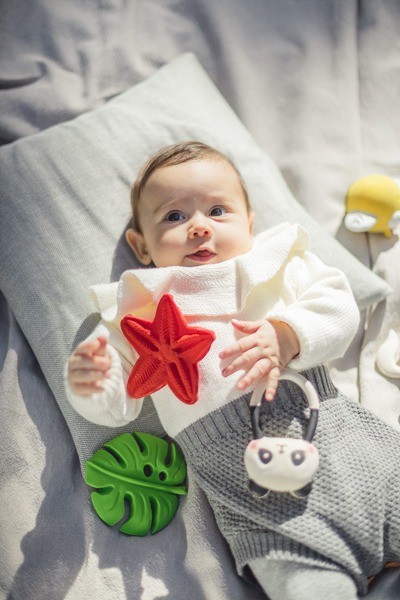 Lanco, gryzak Monstera Lanco, gryzak Monstera