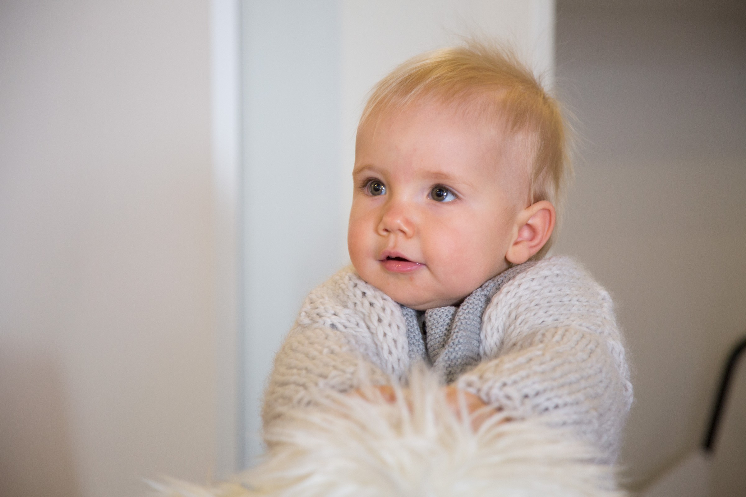 Childhome, Bujak owca biało-czarna Childhome, Bujak owca biało-czarna